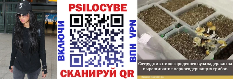 Галлюциногенные грибы Magic Shrooms  Новая Усмань 